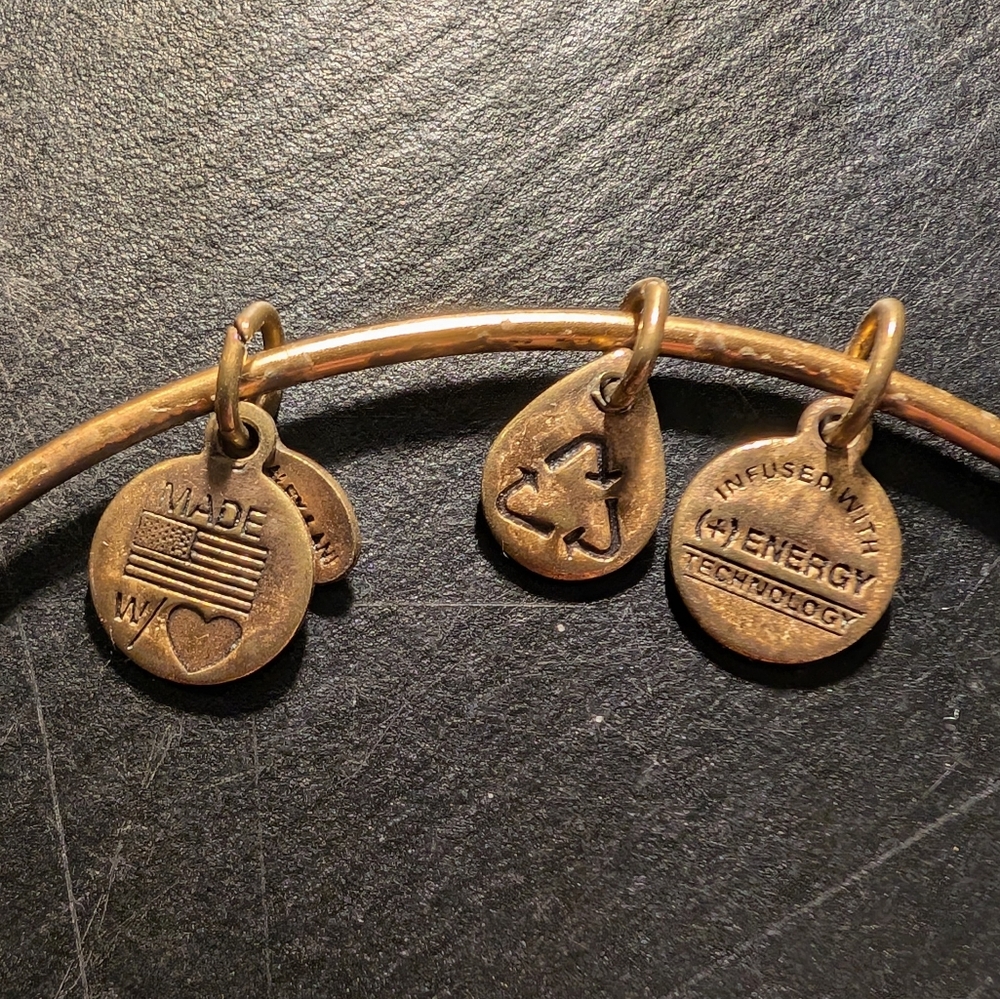 Alex and Ani Sacred Garden Calla Lily Bangle Gold Finish Retired - Picture 6 of 7